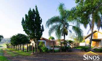 Imagem: Lindo Sítio em Lomba Grande de 03 ha /