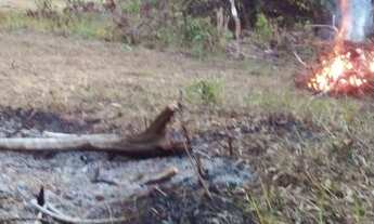 Imagem: Precisa_se de tabuas de madeira e telhas