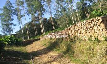 Imagem 2: Sítio com 1 dormitório à venda, 90000 m² por R$ 400.000 - Timbé do Sul/Santa Catarina
