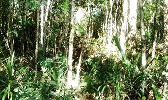 Imagem 7: Excelente Chacara