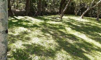 Imagem 7: Grande área no Ribeirão da Ilha em Florianópolis