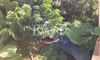 Imagem 3: Venda Terreno Tabajaras