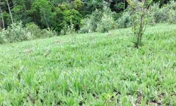 Imagem: Terreno muito bom na cidade de Santa Isabel