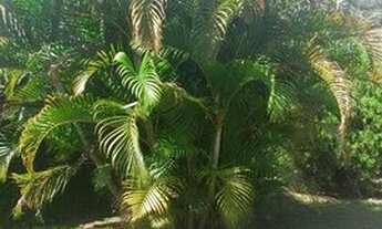 Imagem 6: Sítio à venda, 10000 m² por R$ 1.150.000,00 - Estância Santa Maria do Portão - Atibaia/SP