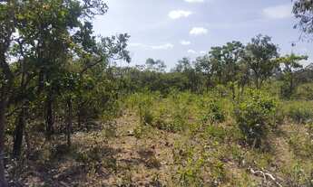 Imagem 4: Lote/Terreno para venda possui 100000 metros quadrados em Centro - Jequitibá - MG