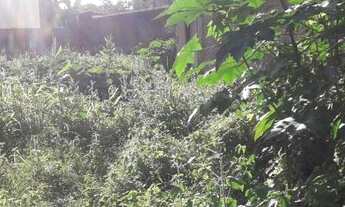 Imagem 6: Candeias, Terreno Nascente, Rua Asfaltada, 12x39m