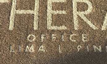 Imagem 3: Thera Faria Lima