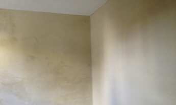 Imagem 4: Casa para aluguel tem 40 metros quadrados com 1 quarto em Vila Conde do Pinhal - São Paulo