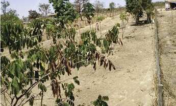 Imagem: Chácara para Venda em Caldas Novas, Portal