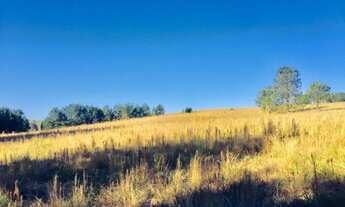 Imagem 4: Terreno Rural 798.600,00m² São Luiz do Purunã