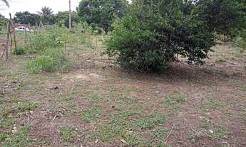 Imagem: TERRENO MEDINDO 15/50