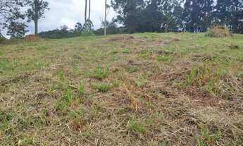 Imagem 3: Lote/Terreno para venda tem 600 metros quadrados em Parque São Luís - São Paulo - SP