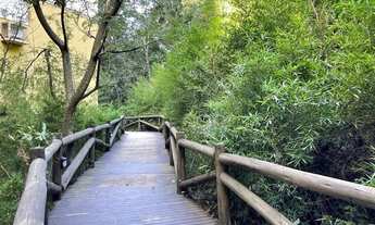 Imagem 4: PORTO ALEGRE - Apartamento Padrão - Partenon