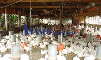 Imagem 6: Cabreúva / SP - Chácara ampla com 24.200 m² e 2 casas