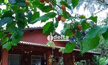 Imagem: Chácara com 3 dormitórios à venda, 1500