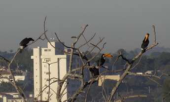 Imagem 13: TERRENO EM CONDOMÍNIO FECHADO