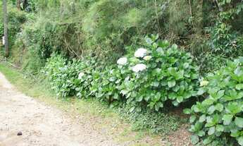 Imagem 4: Lote/Terreno para venda possui 1025 metros quadrados em Vila Natal - Campos do Jordão - SP