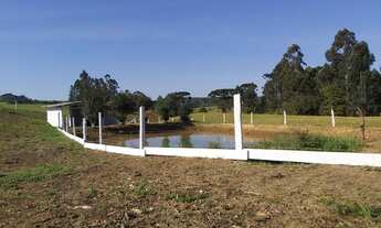 Imagem 7: RIO NEGRINHO - CHACARA - Posto Castilho