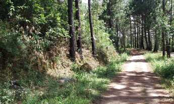 Imagem 4: Lote Village Sans Souci