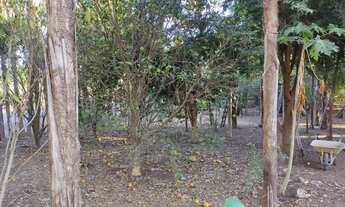 Imagem 7: Chácara em Cesarina - GO. 1.590 metros de Terreno