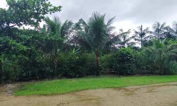 Imagem 4: Chácara 6 hectares Para Lazer em Sete Barras, SP (Willian Ricardo