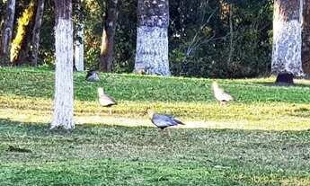 Imagem 3: Belíssima Chácara Alto Padrão