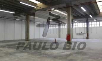 Imagem 4: SAO PAULO - Galpão/Depósito/Armazém - Lapa