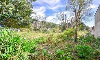 Imagem 3: Vendas Área São José Dos Pinhais PR