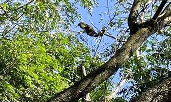 Imagem 2: Chácara espetacular no melhor condo fechado de São Carlos- Parque Itaipu