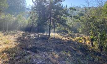 Imagem 5: Terreno Centro de Macacos 33.000 m²