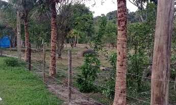 Imagem 5: Sítio cachoeiras de macacu