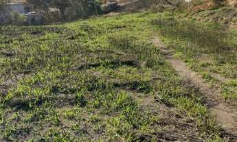 Imagem 5: Oportunidade de terreno