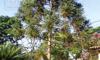 Imagem: Salto - Terreno Padrão - João Jabour