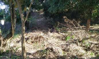 Imagem 4: Terreno em Maria Paula