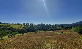 Imagem 3: SITIO RURAL em Cabreúva - SP, Jacaré