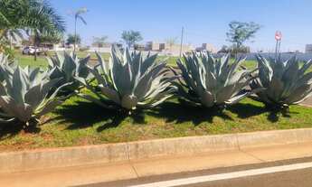 Imagem 3: 02 Terrenos Manacá, 900,00 M2, Um Luxo de Condomínio, Tangará da Serra- MT