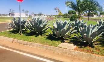 Imagem 4: 02 Terrenos Manacá, 900,00 M2, Um Luxo de Condomínio, Tangará da Serra- MT