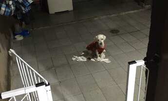 Imagem 7: SOBRADO 121M² 1 DRM, 2 SUÍTES 1QUARTO(SERVICOS) COZINHA, SALA, 2 VGS, 350M DO METRÔ P. ING