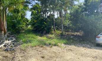 Imagem 2: Chacara 9.000m² São João do Itaperiú RS 350.000,00