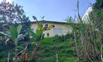 Imagem 4: Sítio 5 alqueires, Pomar, Casa ( Willian Ricardo