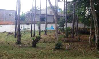 Imagem 6: Florianópolis - Terreno Padrão - Ratones