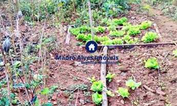 Imagem 6: Terreno - Área para comprar Mogi Moderno Mogi das Cruzes