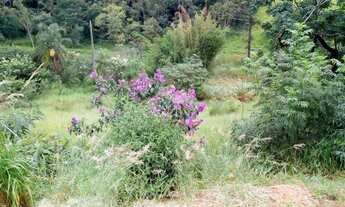 Imagem 6: Chácara - Centro - Cabreúva