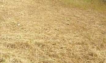 Imagem 2: TERRENO VENDA 600M² PQ. SÃO BENTO SOROCABA SP