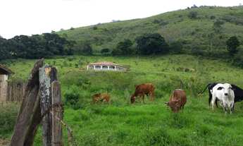 Imagem 5: Sítio com 4 dormitórios à venda, 33500 m² por R$ 780.000,00 - Parque Flamboyant - Amparo/S