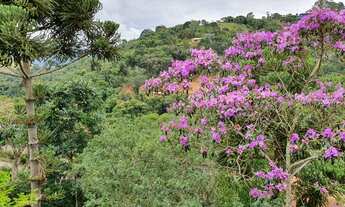 Imagem 7: Casa para venda com 3 quartos em Itaipava - Petrópolis - RJ