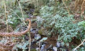 Imagem 5: Sítio em Urubici/ Terrenos em Urubici