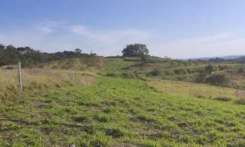 Imagem 2: Venha para Cotia - Caucaia - São Paulo