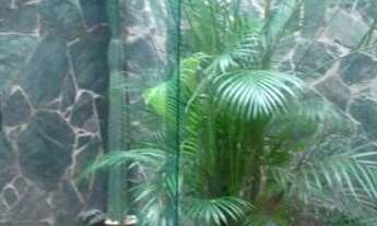 Imagem 6: Casa para Venda em Limeira, Vila Limeiranea, 3 dormitórios, 1 suíte, 2 banheiros, 2 vagas