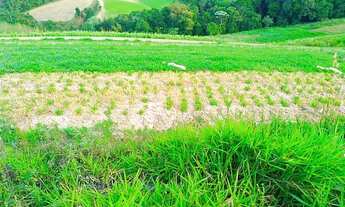 Imagem 5: Lote/Terreno para venda com 500 metros quadrados em Vila Pindorama - Barueri - SP